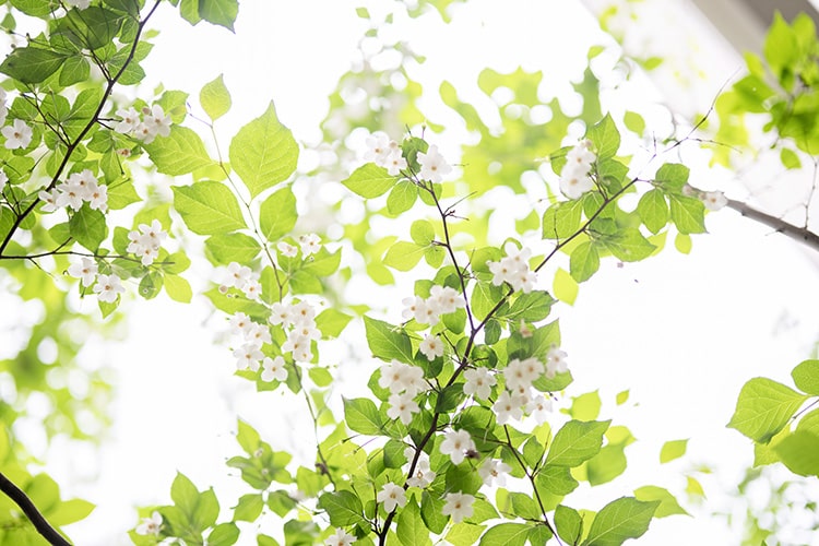季節毎の花が彩をそえます